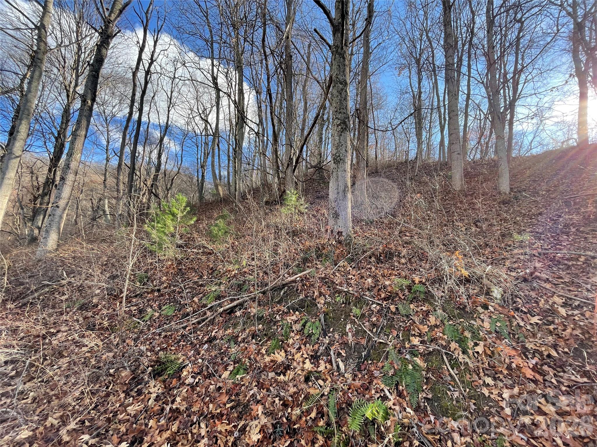 00 Wilson Cove Road Canton NC 28716