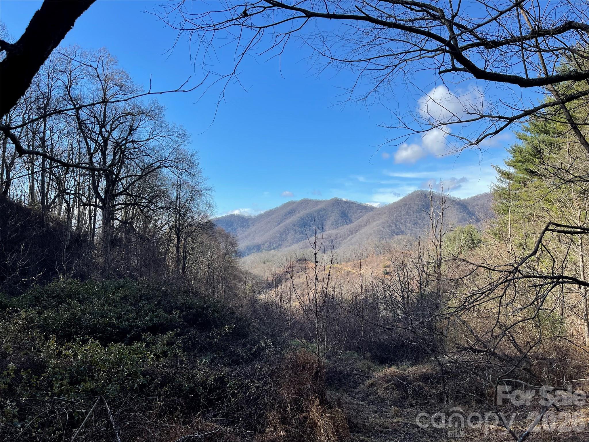 00 Wilson Cove Road Canton NC 28716