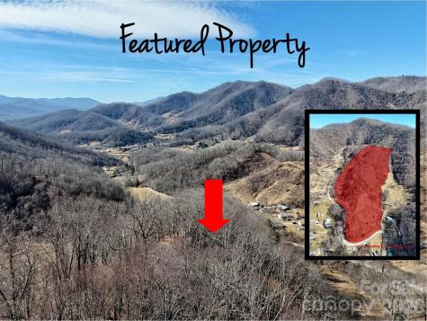 00 Wilson Cove Road Canton NC 28716