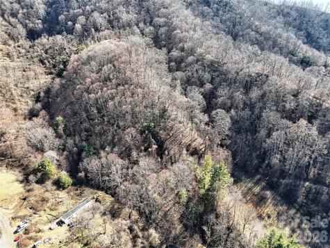 00 Wilson Cove Road Canton NC 28716