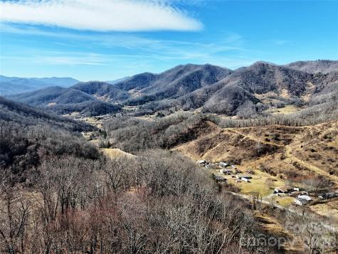 00 Wilson Cove Road Canton NC 28716