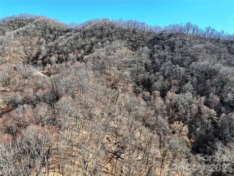 00 Wilson Cove Road Canton NC 28716