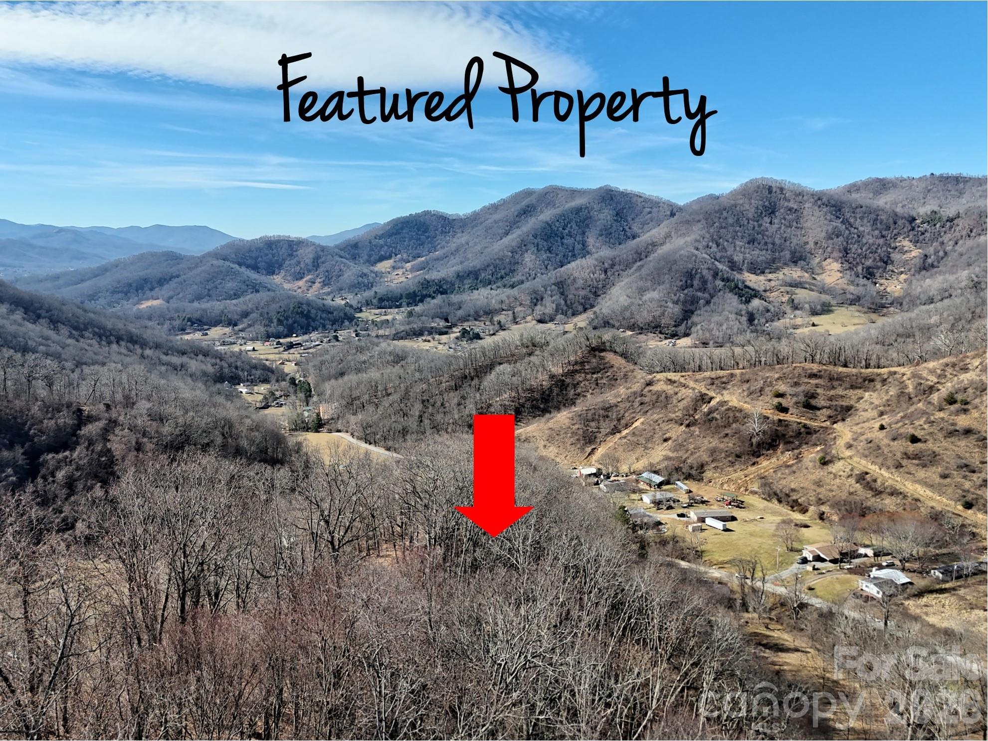 00 Wilson Cove Road Canton NC 28716