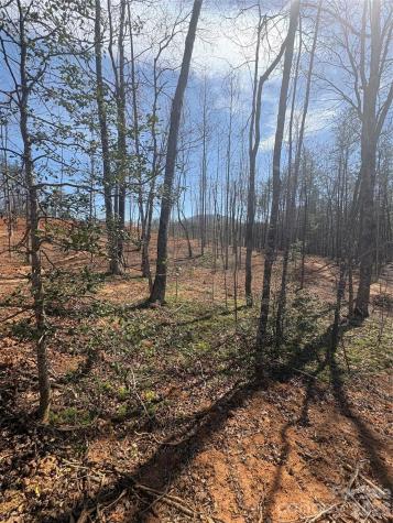 Tbd Avenida De Oro Road Morganton NC 28655