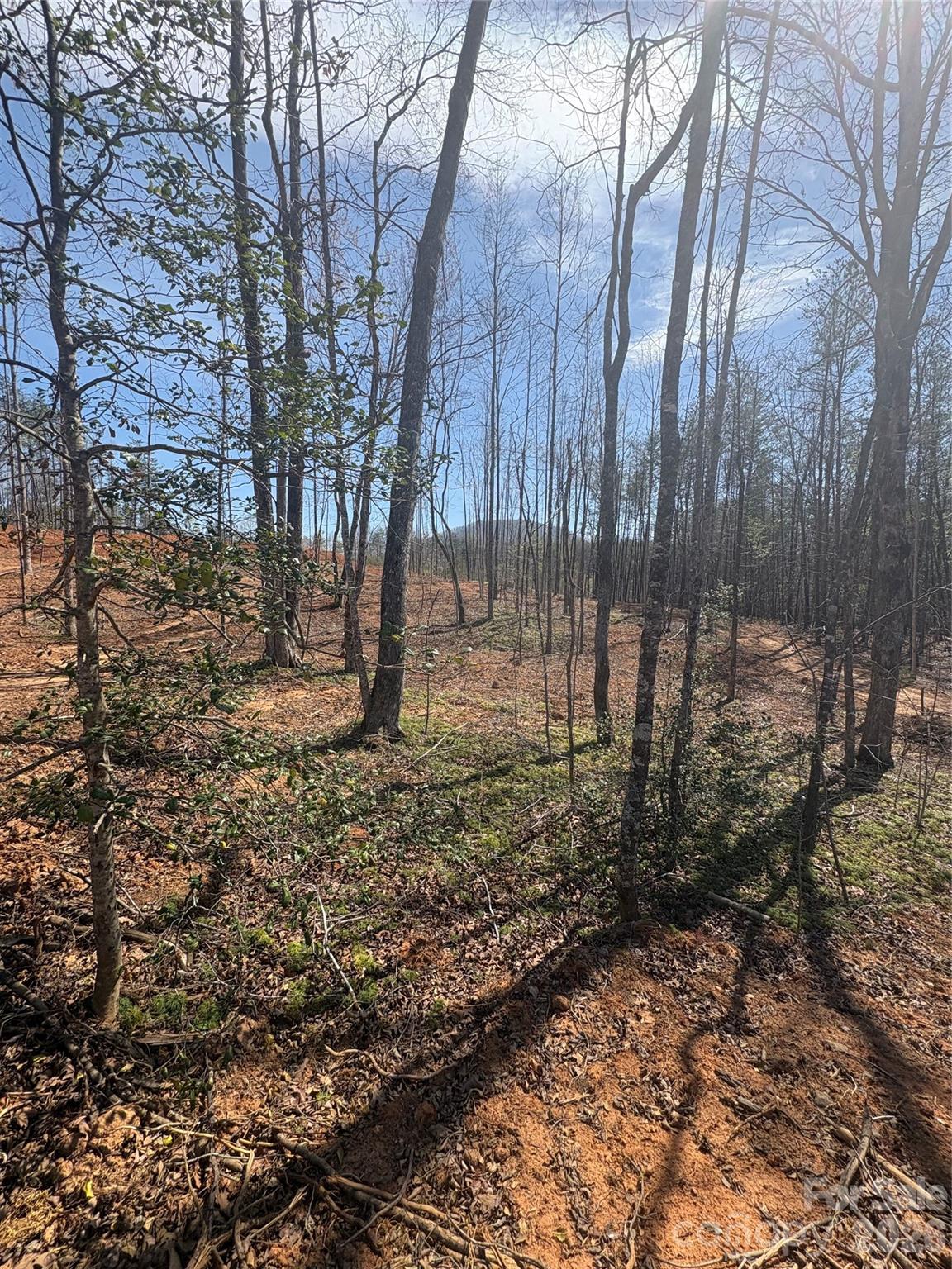 Tbd Avenida De Oro Road Morganton NC 28655