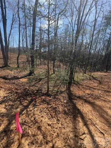 Tbd Avenida De Oro Road Morganton NC 28655