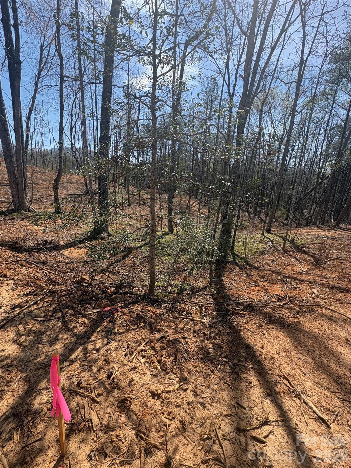 Tbd Avenida De Oro Road Morganton NC 28655