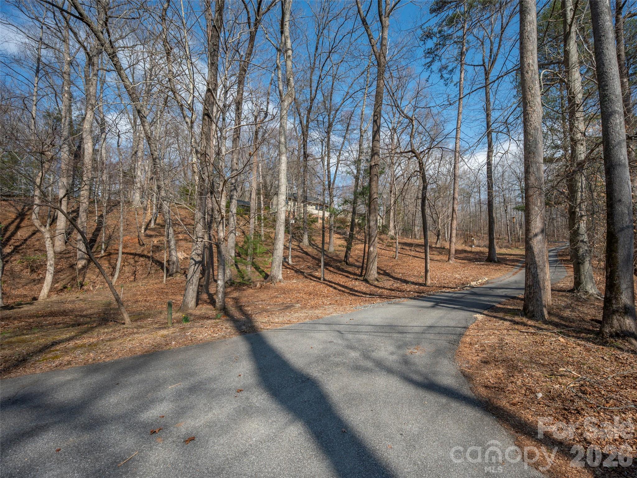 0000 Judge Road Tryon NC 28782
