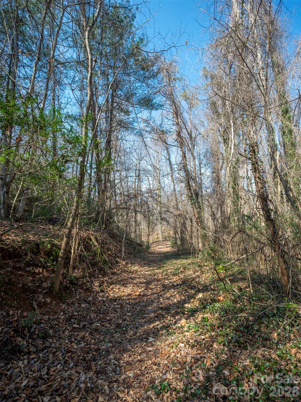 0000 Judge Road Tryon NC 28782