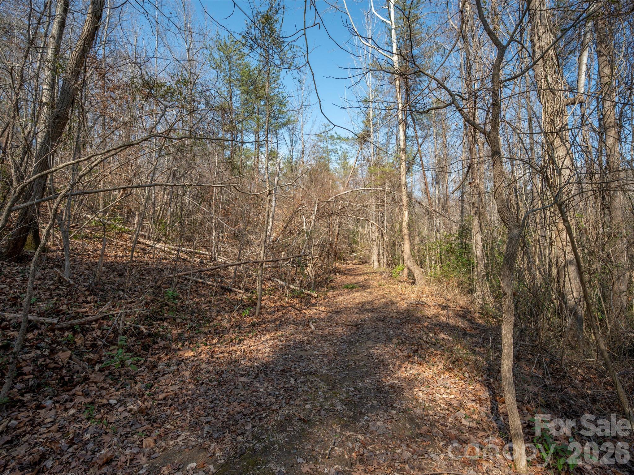 0000 Judge Road Tryon NC 28782