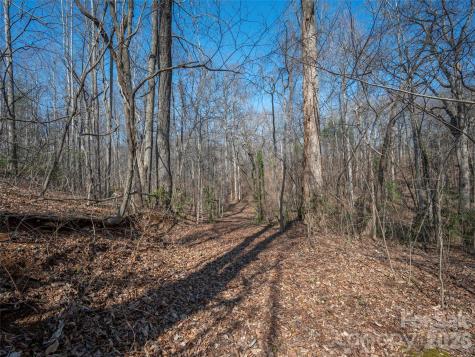 0000 Judge Road Tryon NC 28782
