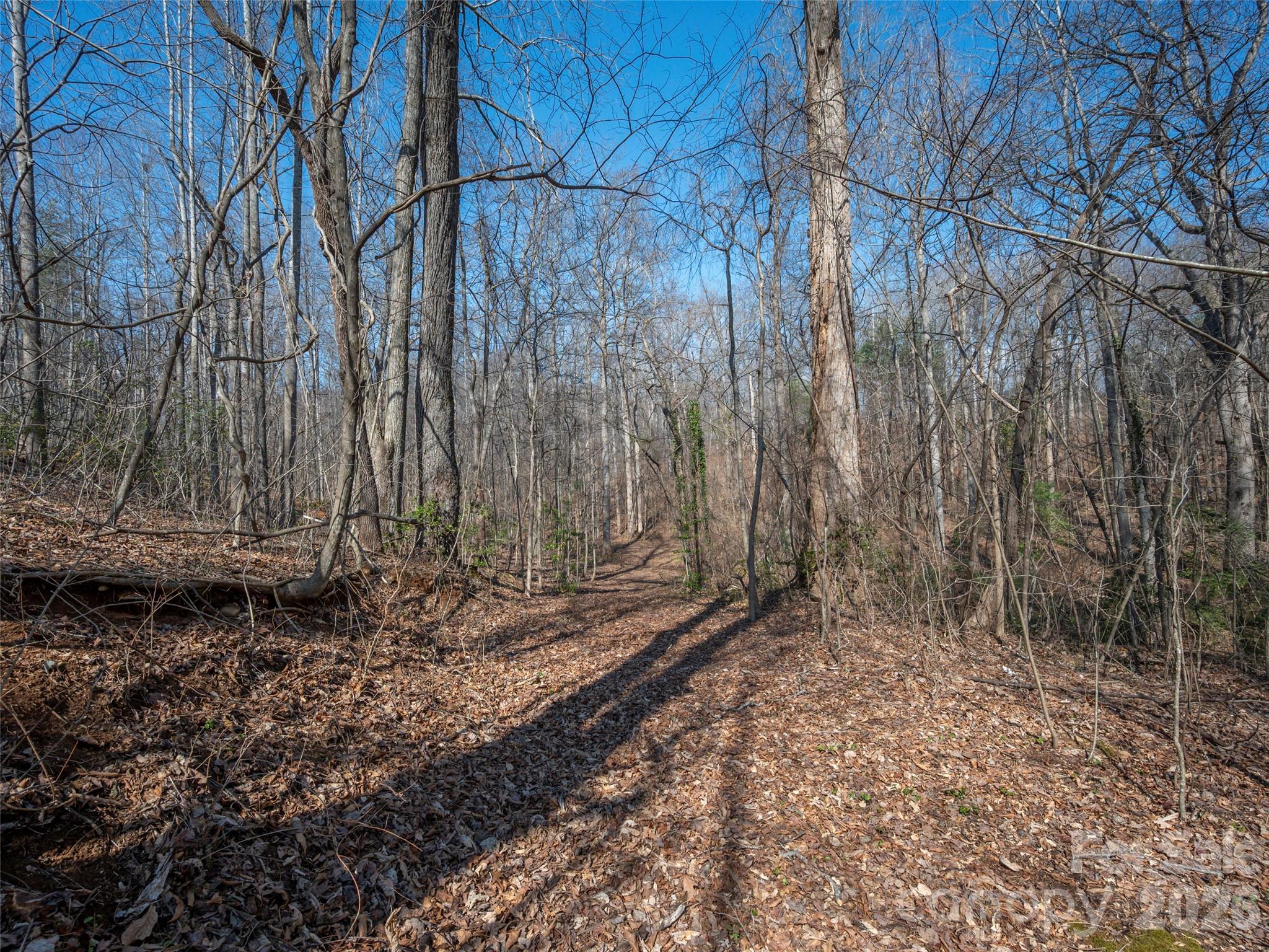 0000 Judge Road Tryon NC 28782
