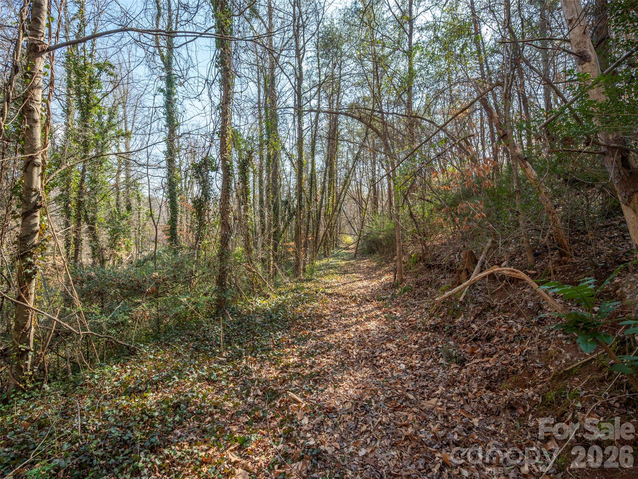 0000 Judge Road Tryon NC 28782