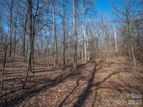 0000 Judge Road Tryon NC 28782