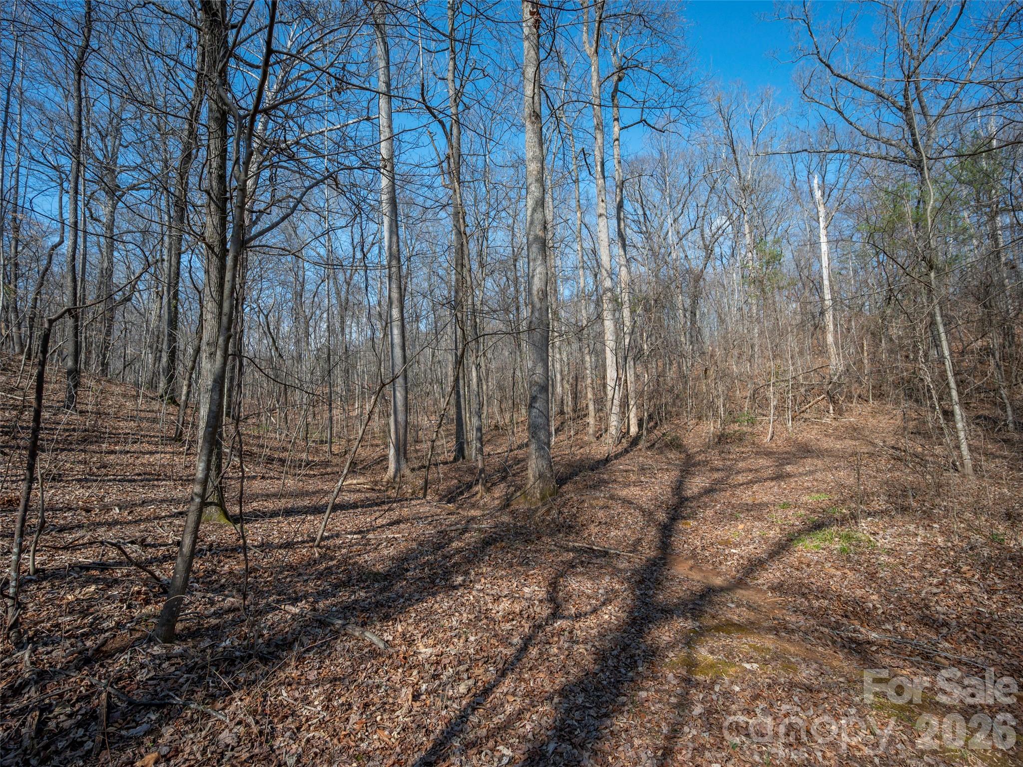 0000 Judge Road Tryon NC 28782
