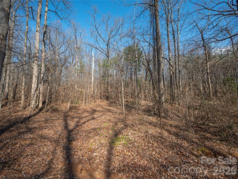 0000 Judge Road Tryon NC 28782