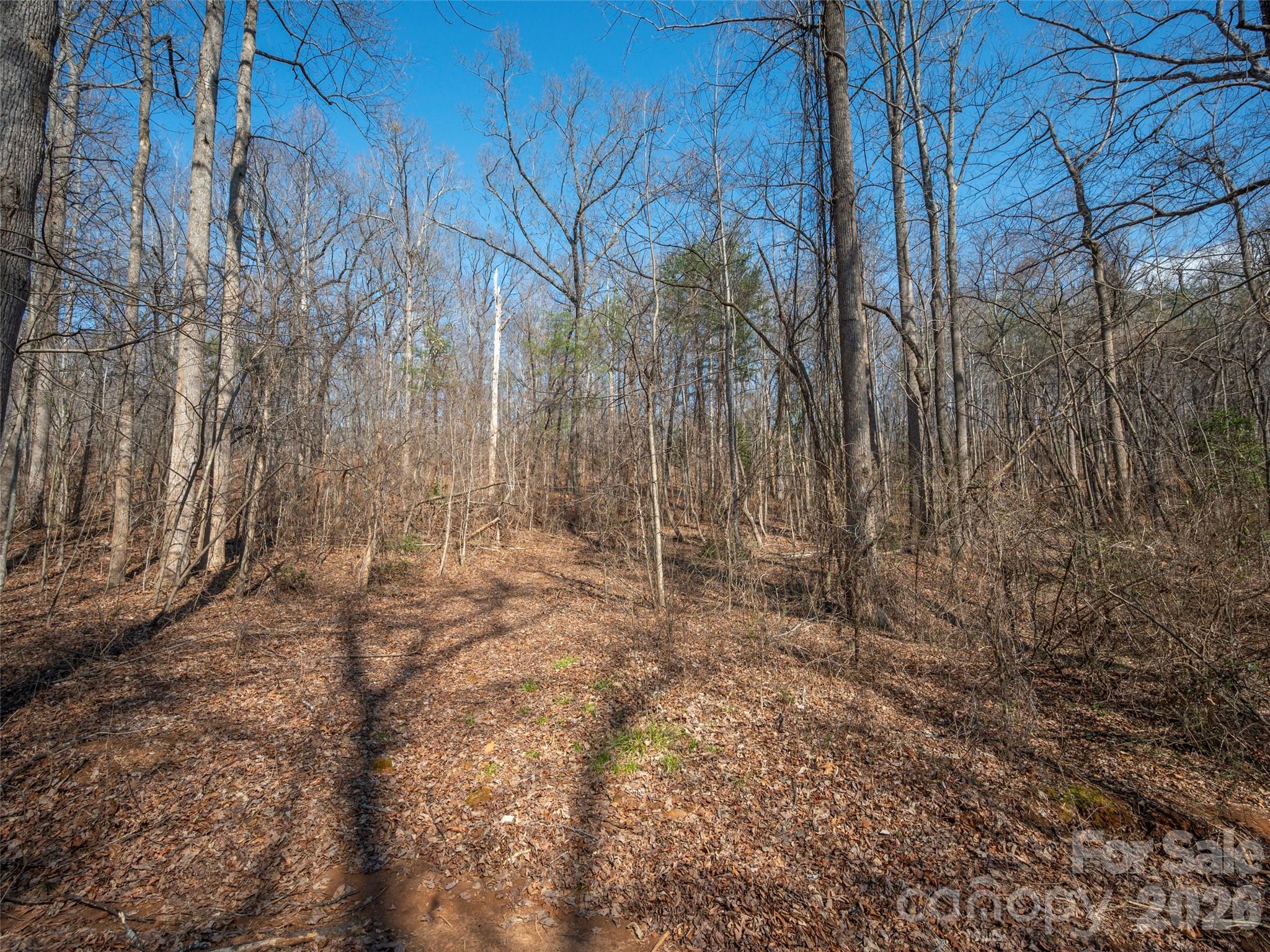 0000 Judge Road Tryon NC 28782