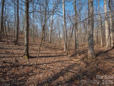 0000 Judge Road Tryon NC 28782