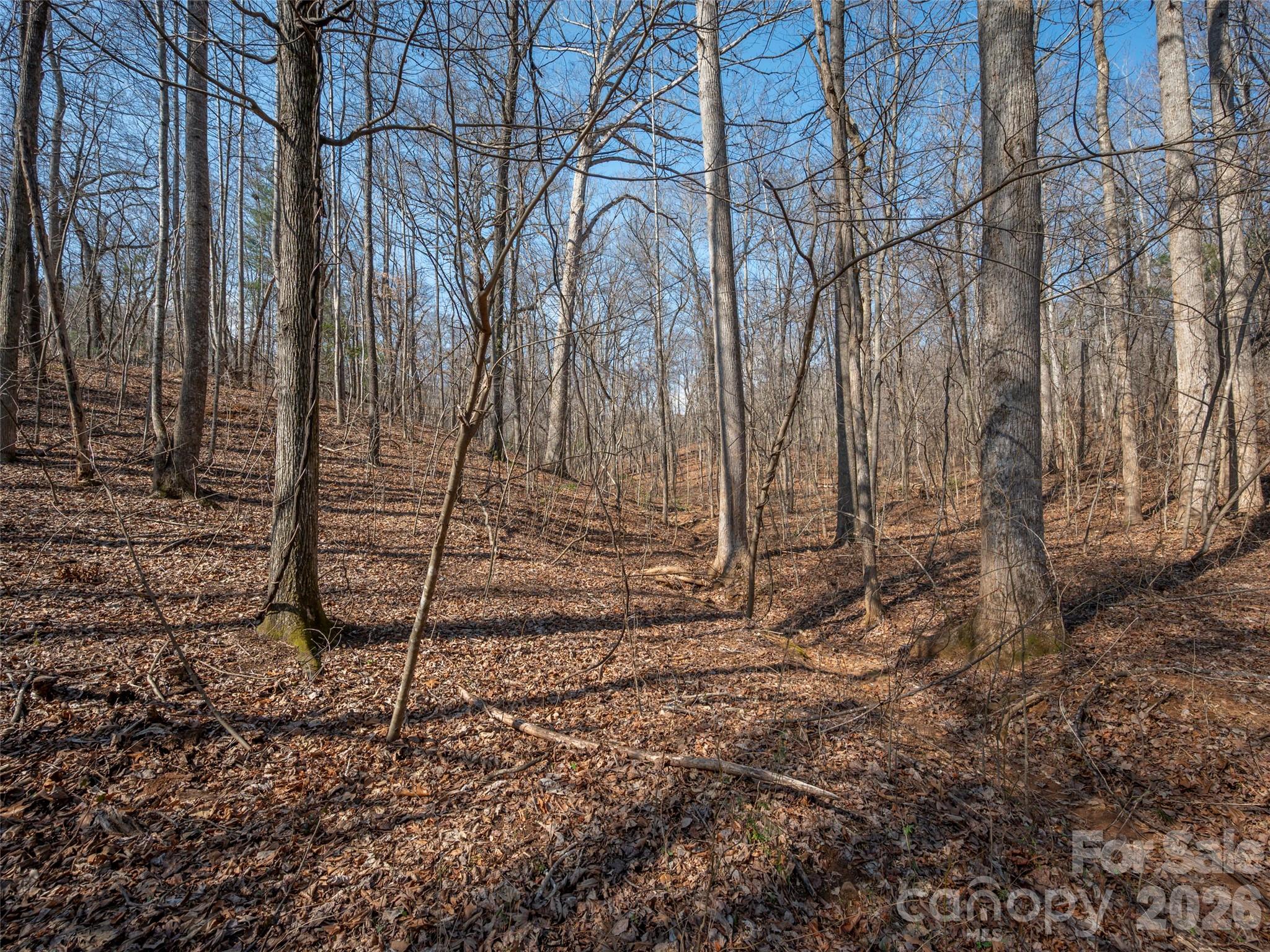0000 Judge Road Tryon NC 28782