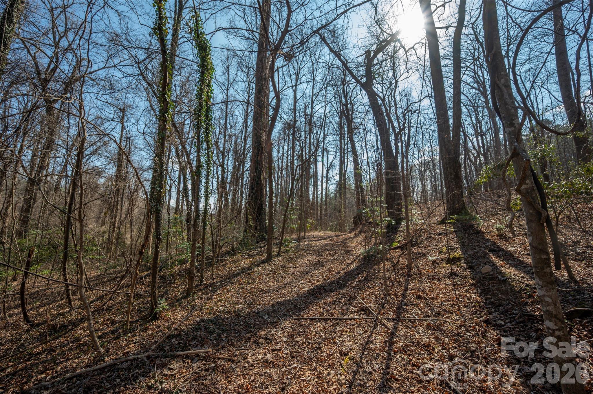 0000 Judge Road Tryon NC 28782