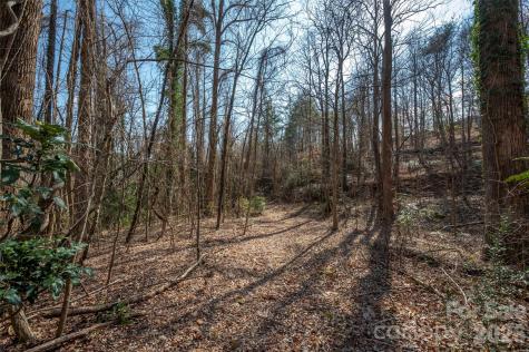 0000 Judge Road Tryon NC 28782
