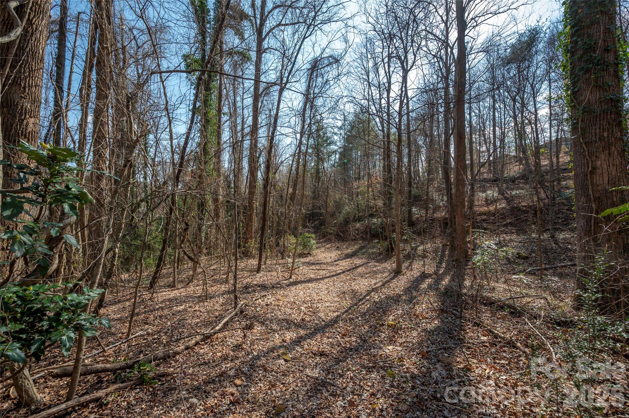 0000 Judge Road Tryon NC 28782