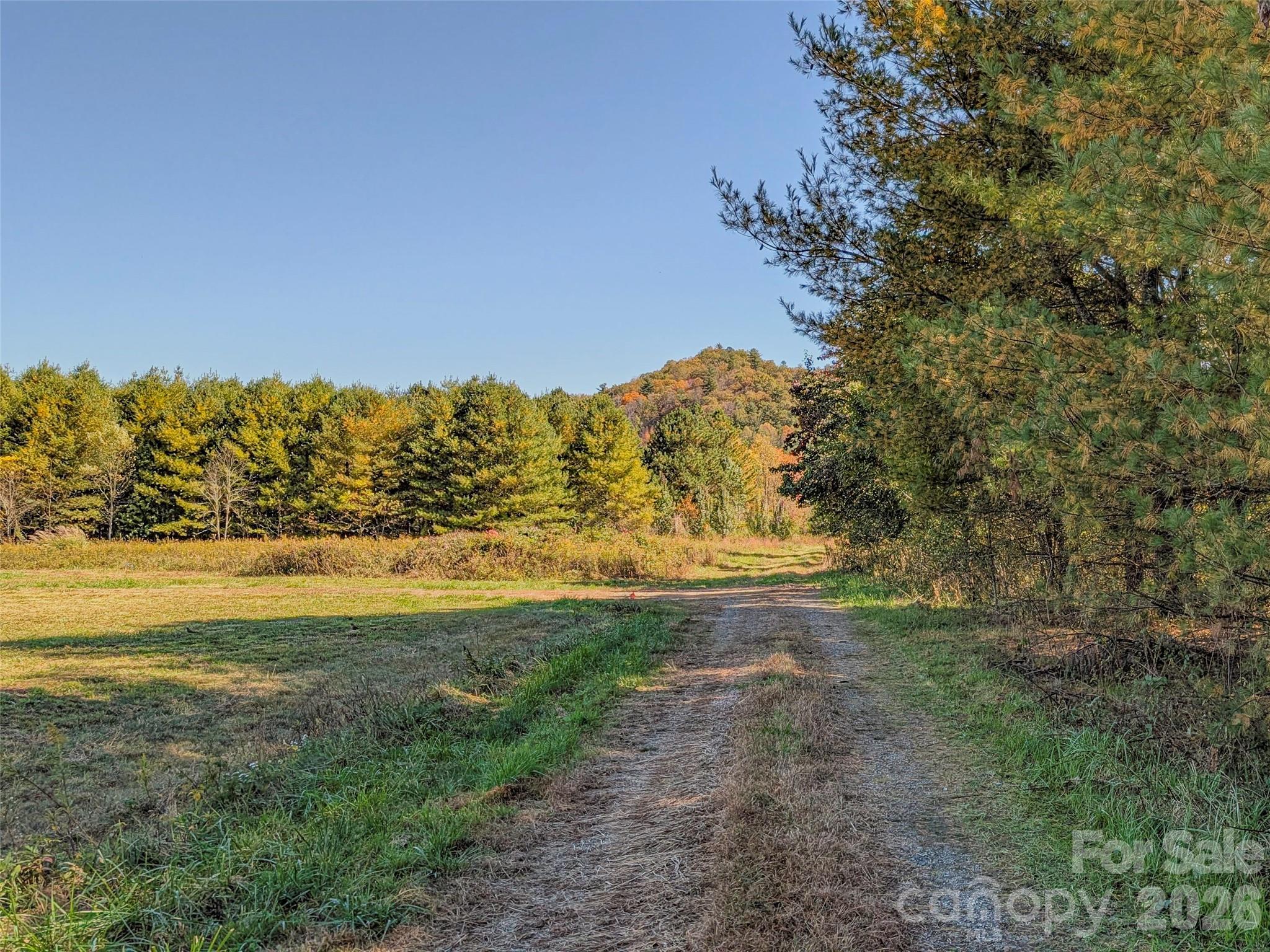 Tbd Hart Road Pisgah Forest NC 28768
