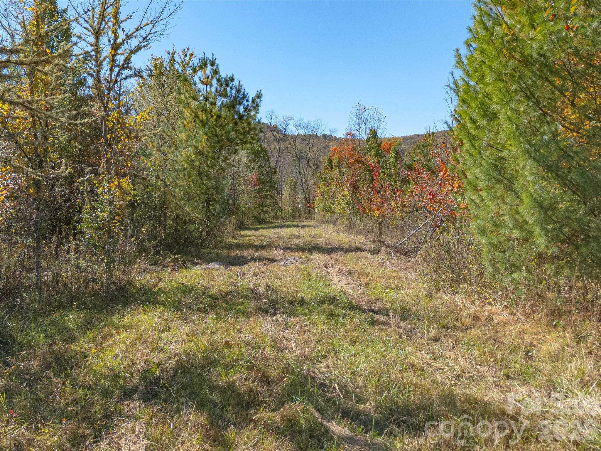 Tbd Hart Road Pisgah Forest NC 28768