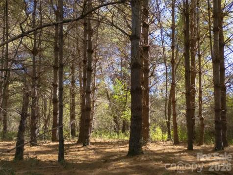 Tbd Hart Road Pisgah Forest NC 28768