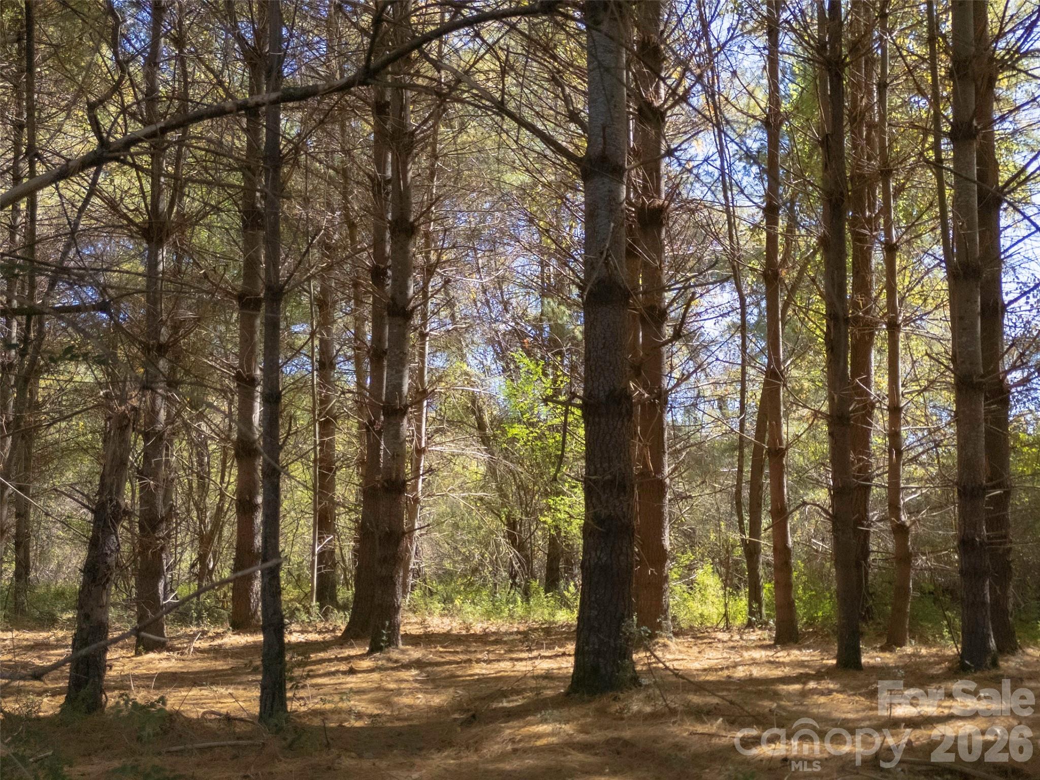 Tbd Hart Road Pisgah Forest NC 28768