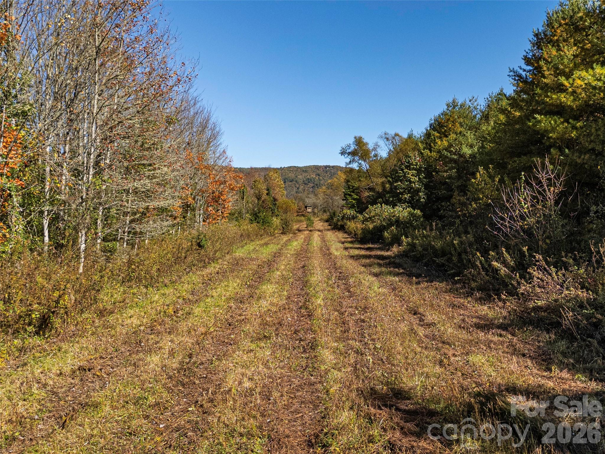 Tbd Hart Road Pisgah Forest NC 28768