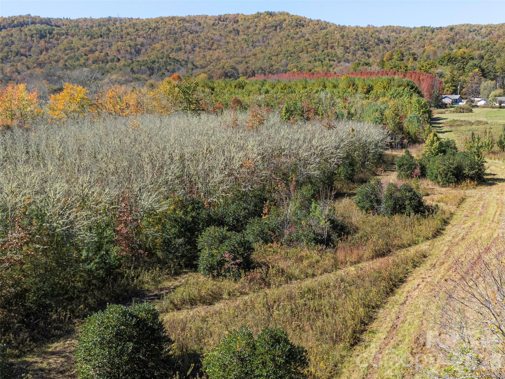 Tbd Hart Road Pisgah Forest NC 28768