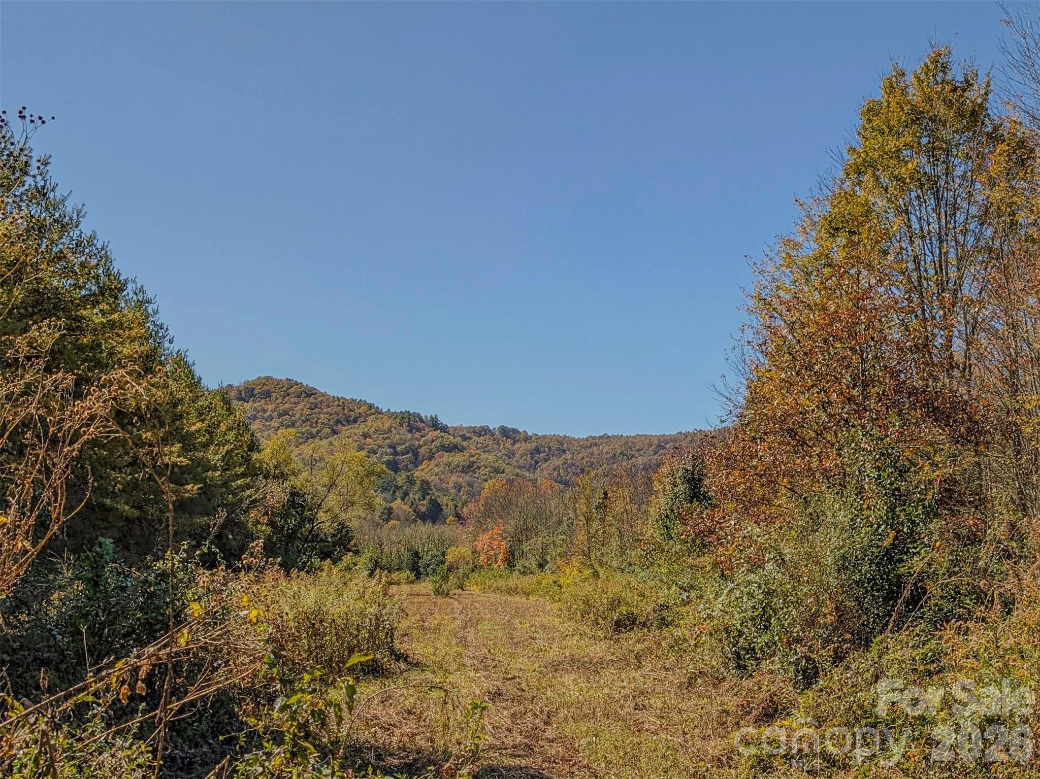 Tbd Hart Road Pisgah Forest NC 28768