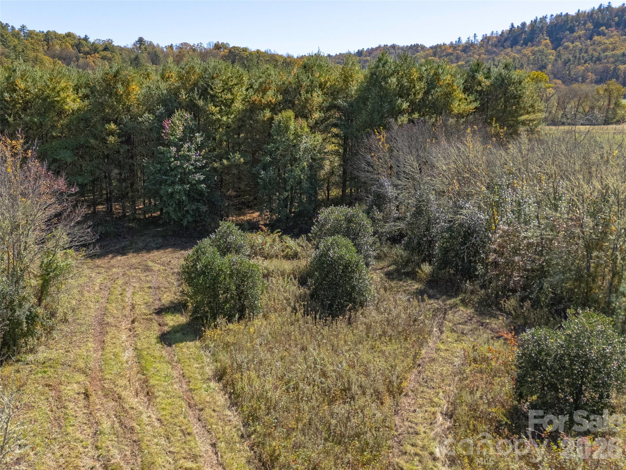 Tbd Hart Road Pisgah Forest NC 28768