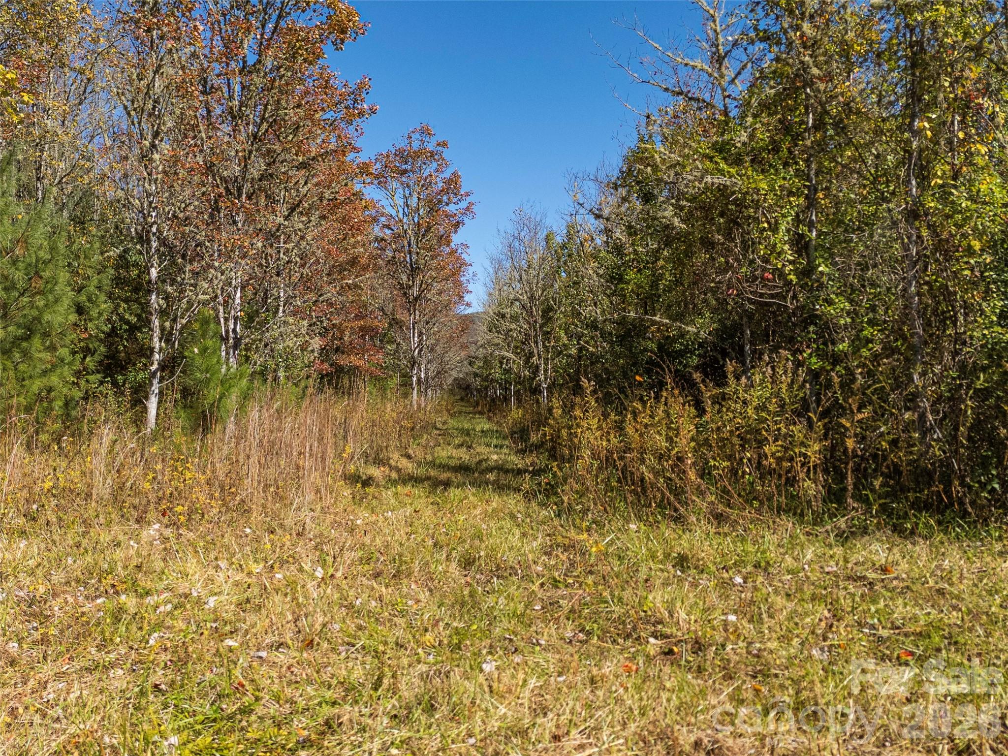 Tbd Hart Road Pisgah Forest NC 28768