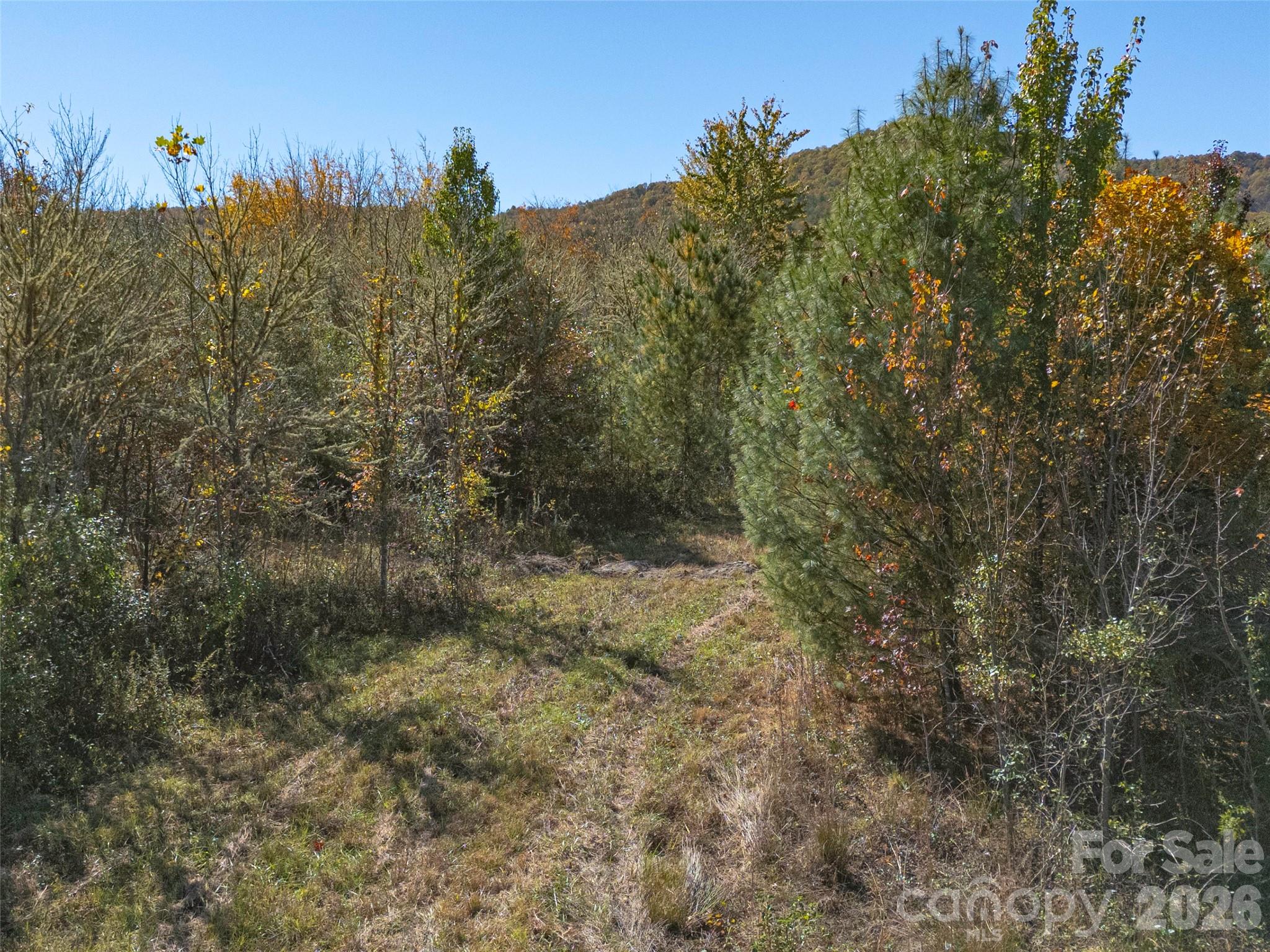 Tbd Hart Road Pisgah Forest NC 28768