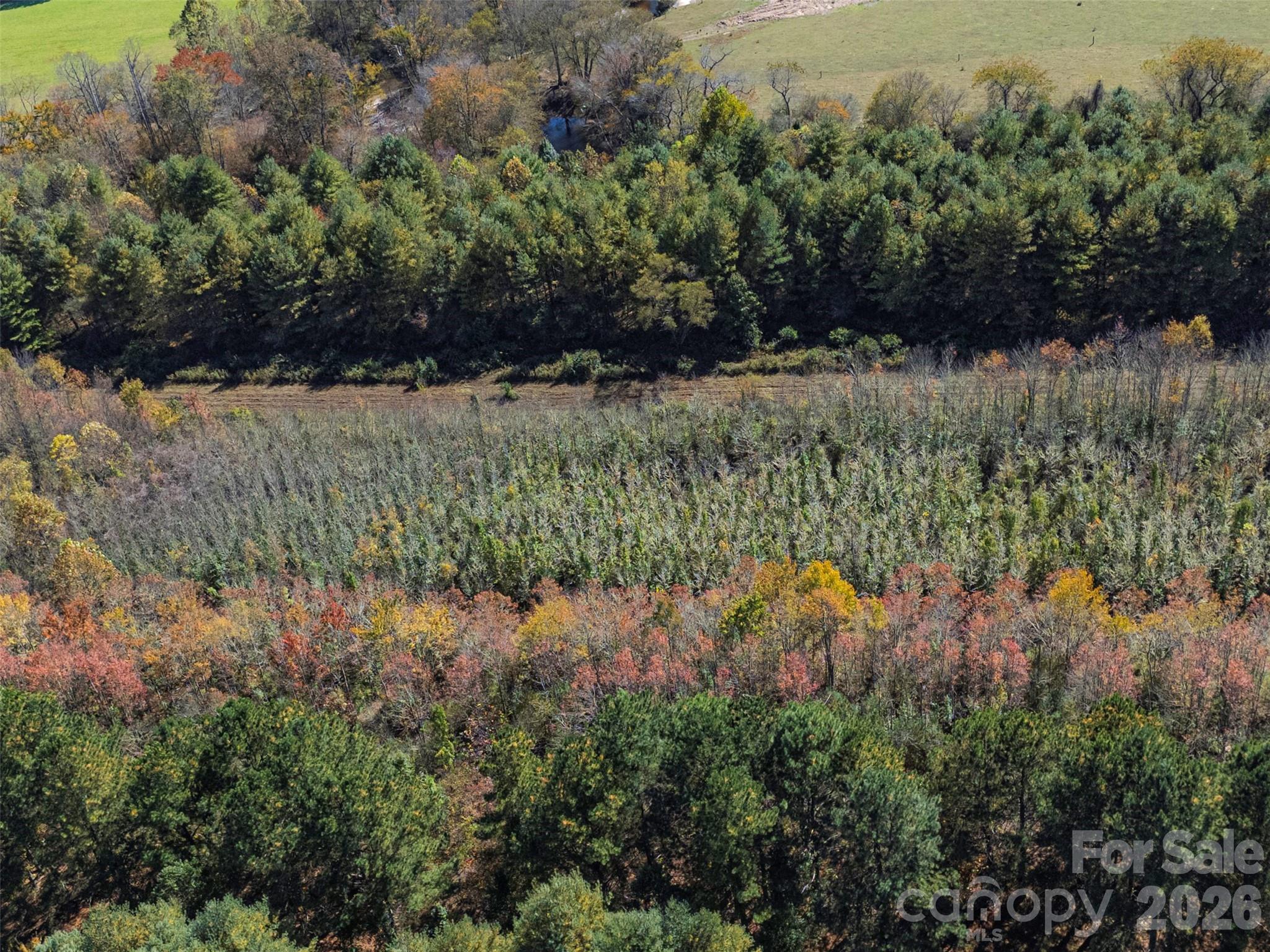 Tbd Hart Road Pisgah Forest NC 28768