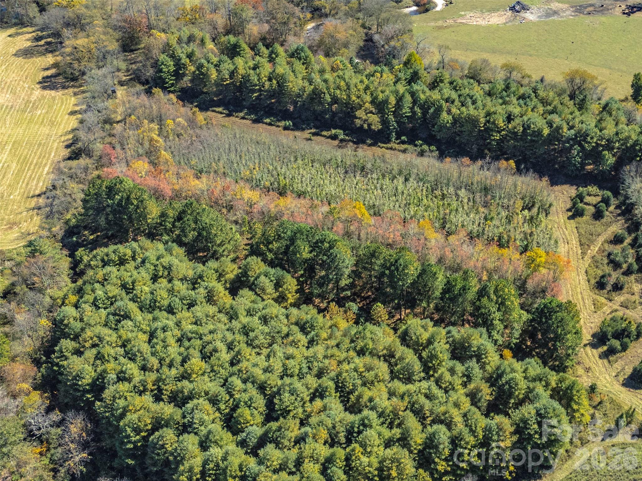 Tbd Hart Road Pisgah Forest NC 28768