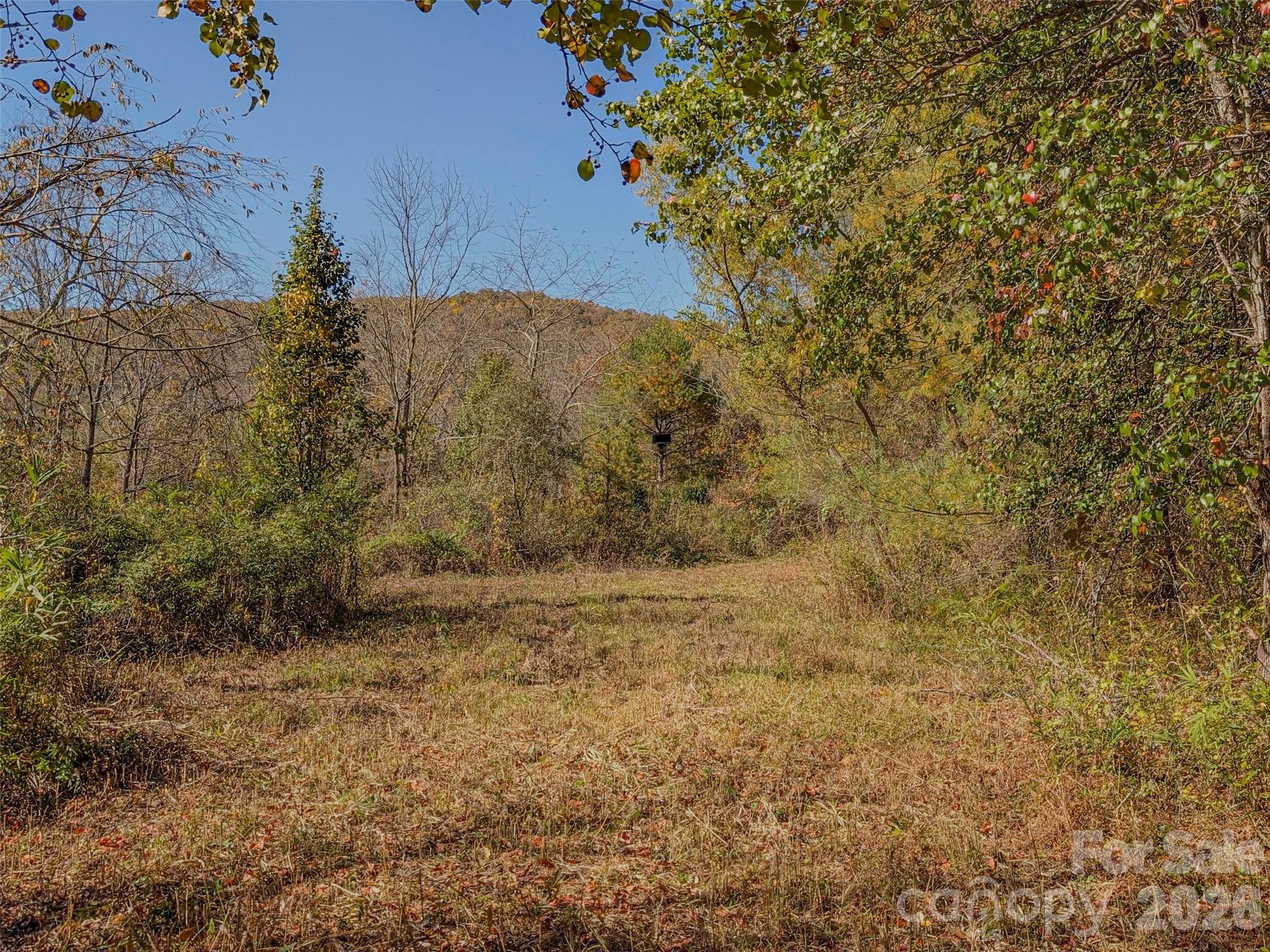 Tbd Hart Road Pisgah Forest NC 28768