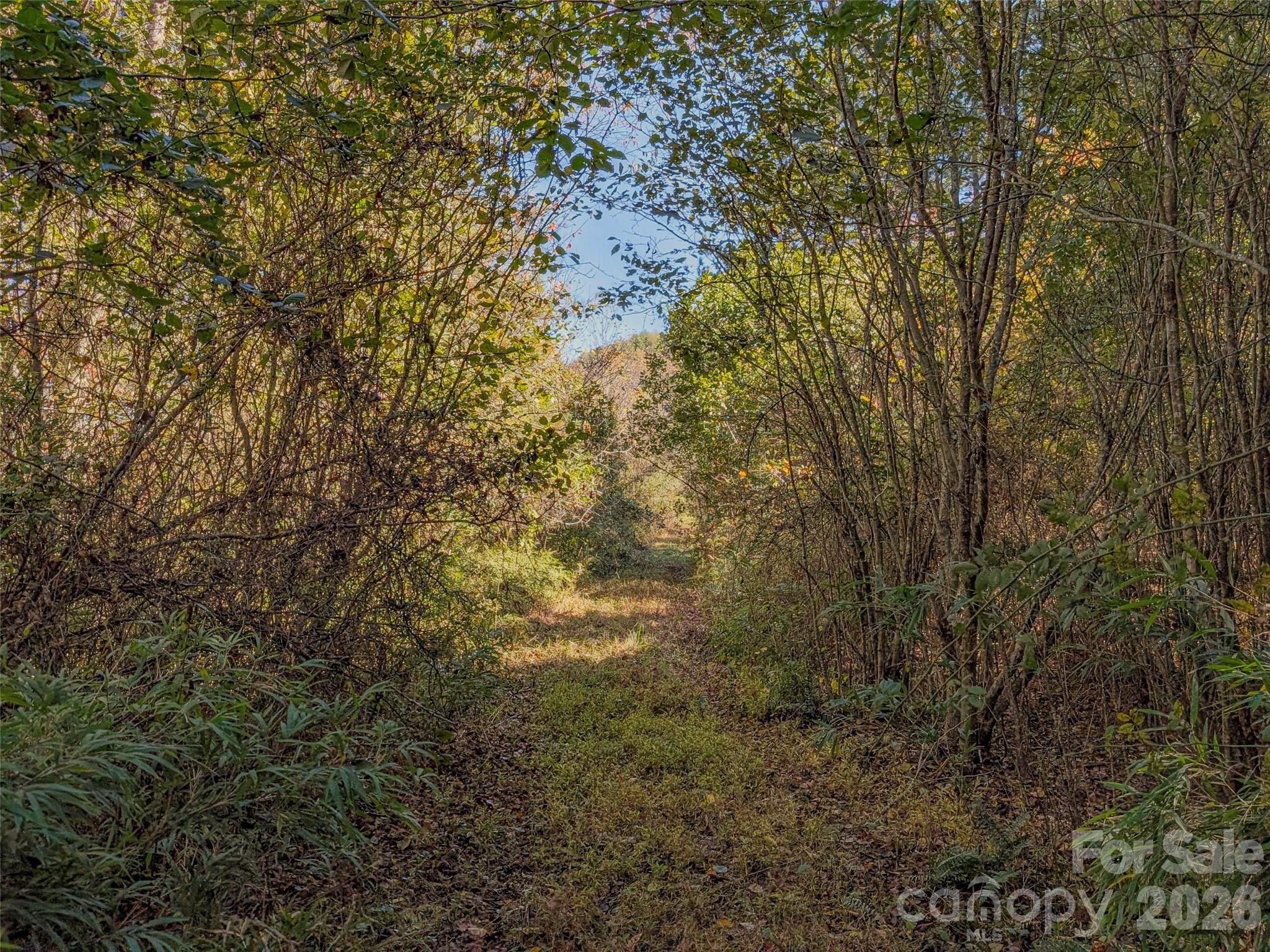 Tbd Hart Road Pisgah Forest NC 28768