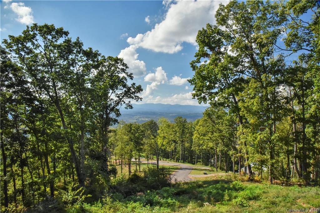 167 Serenity Ridge Trail Asheville NC 28804