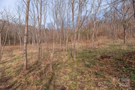 0 Hooper Cemetery Road Cullowhee NC 28723