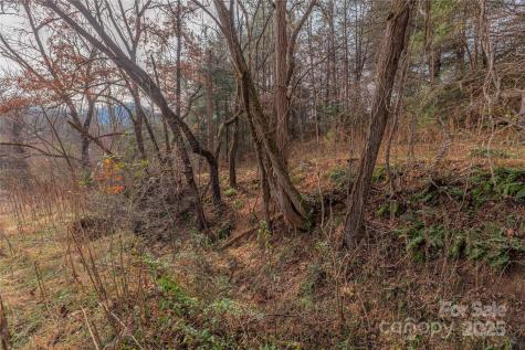 0 Hooper Cemetery Road Cullowhee NC 28723