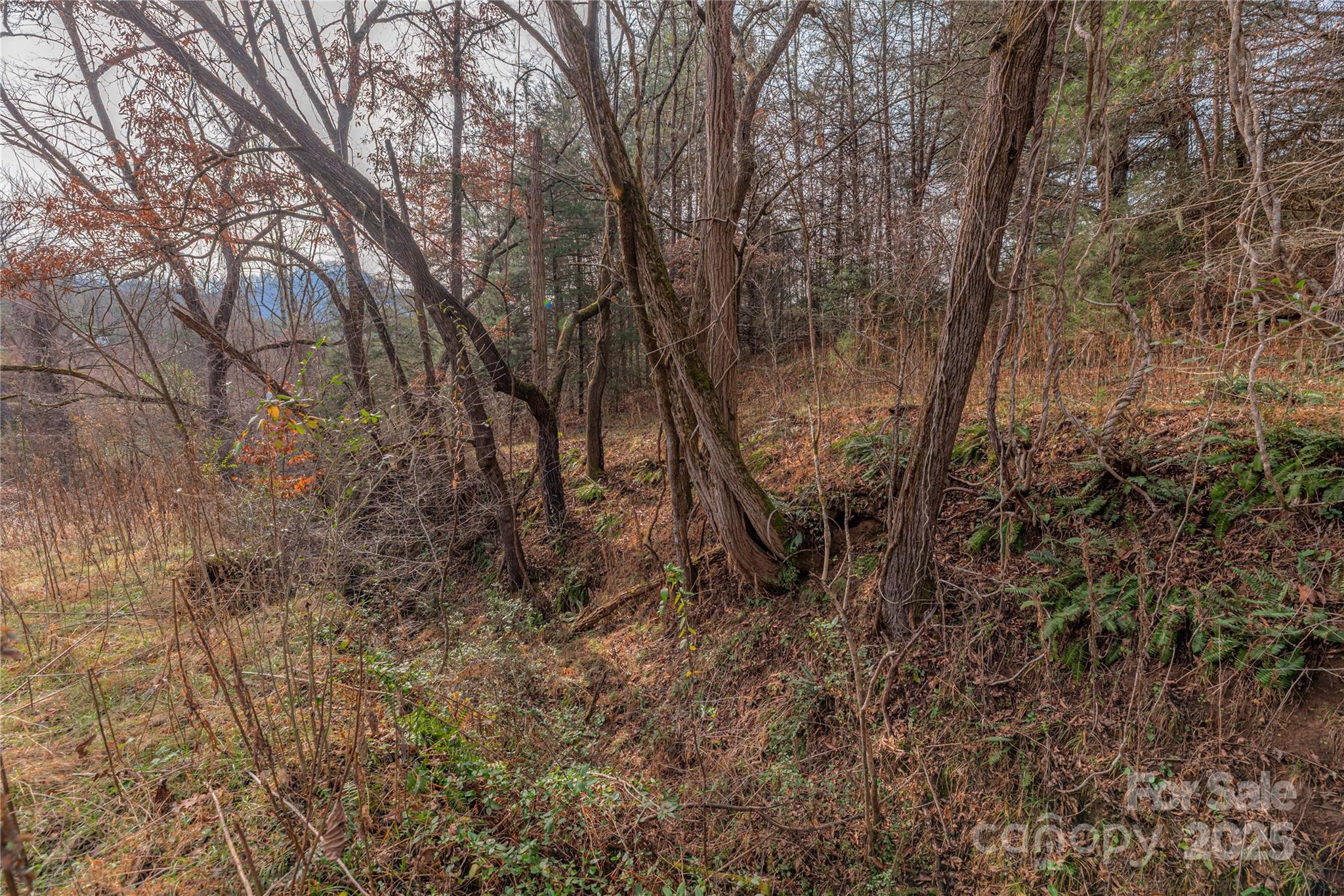 0 Hooper Cemetery Road Cullowhee NC 28723