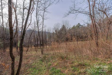 0 Hooper Cemetery Road Cullowhee NC 28723