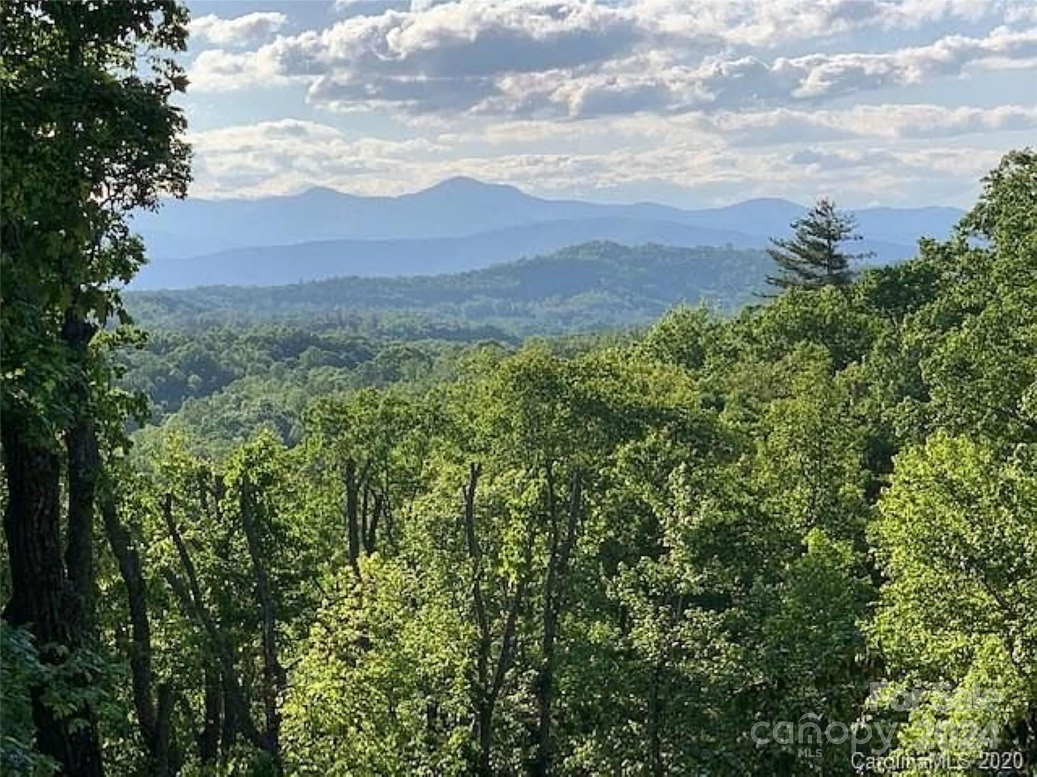 185 Crossvine Trail Hendersonville NC 28739