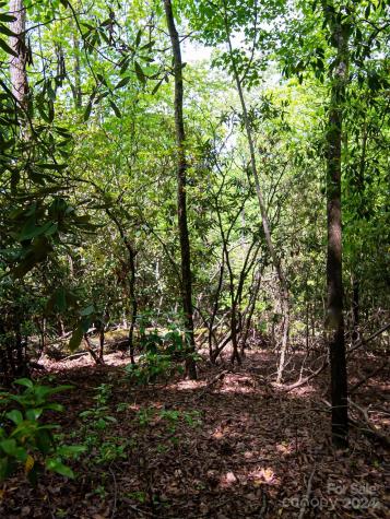 185 Crossvine Trail Hendersonville NC 28739