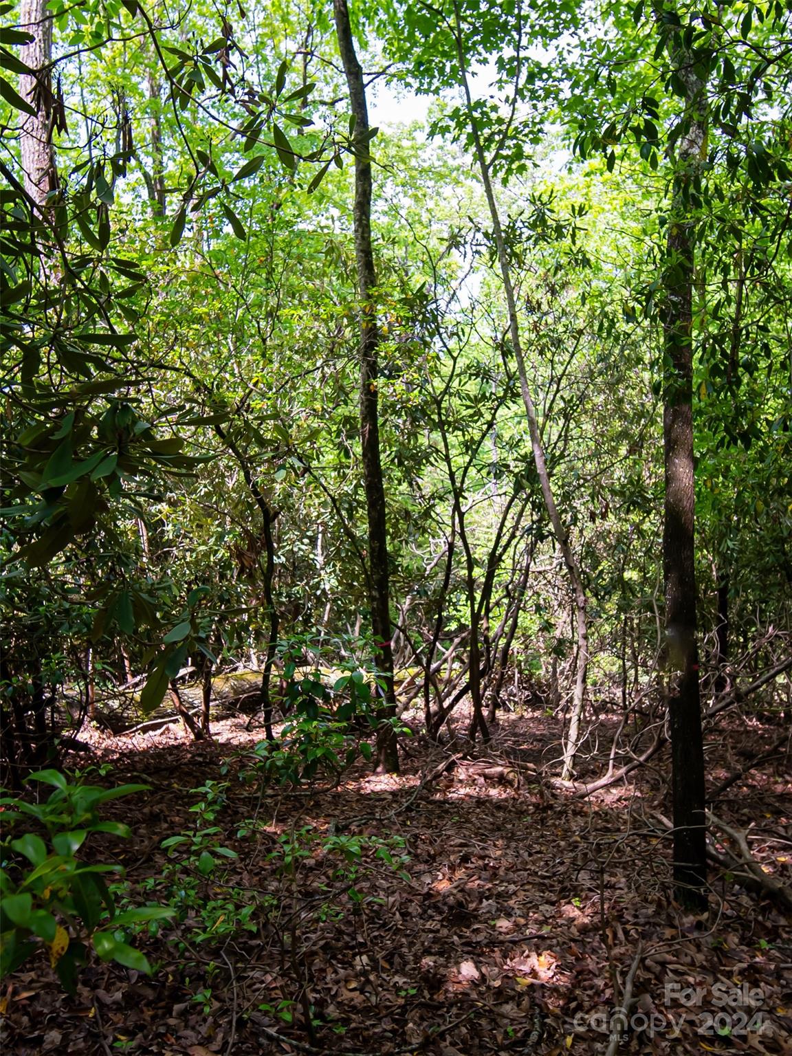 185 Crossvine Trail Hendersonville NC 28739