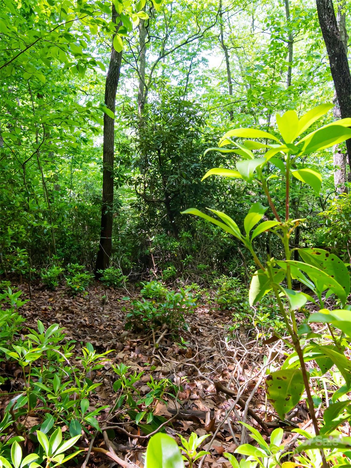 185 Crossvine Trail Hendersonville NC 28739