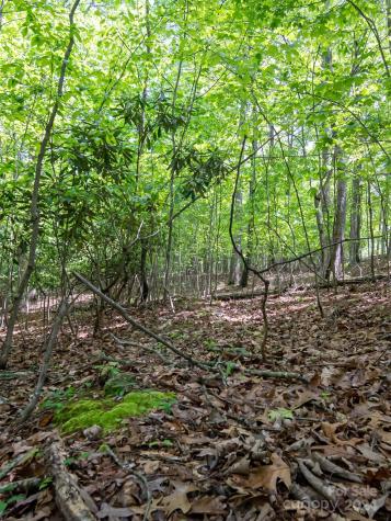 185 Crossvine Trail Hendersonville NC 28739